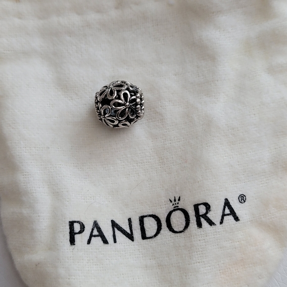 Pandora Wildflower Walk Charm - Picture 3 of 5